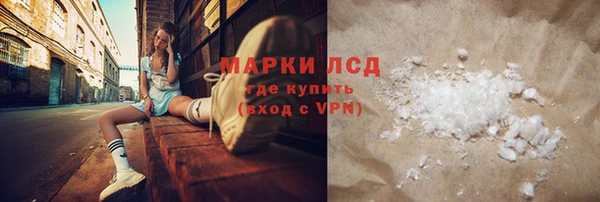 сатива Новозыбков