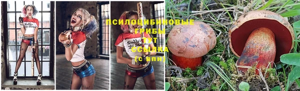 мяу мяу мука Вяземский