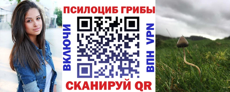 хочу   Верхняя Тура  Галлюциногенные грибы мицелий 
