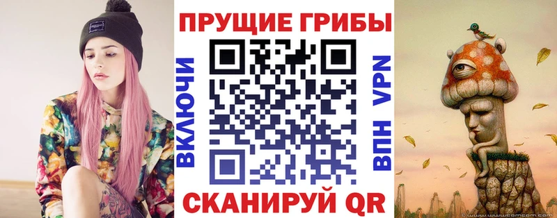 Псилоцибиновые грибы Cubensis Верхняя Тура